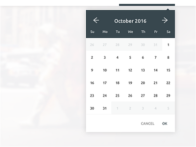 Date Picker date picker