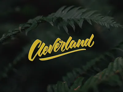 Cleverland brush lettering type typography
