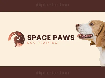 Space Paws Dog Training! graphic design logo