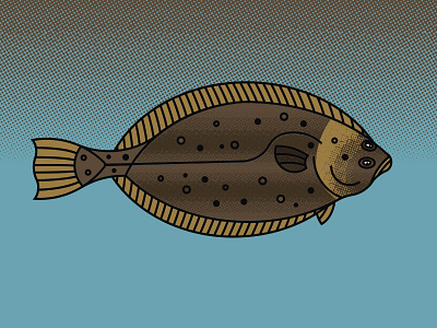 Fish of Catalina (Halibut) catalina fish halibut illustration ocean sea water