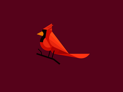 Cardinal art bangalore bird cardinal design digital illustration graphic design illustration india kerala kochi shylesh