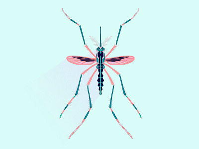 Mosquito decorative illustration insect mosquito stylight