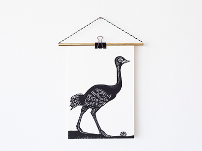 Ostrich africa bird birds drawing feather giclee illustration ink ostrich print scratch wings