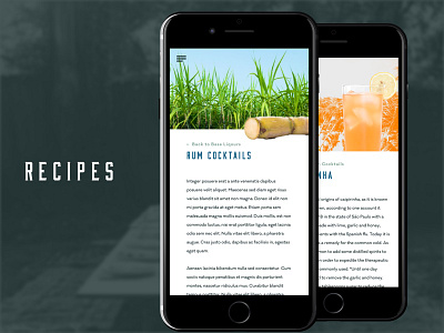 Cocktail Club - Recipes Mobile alcohol bar branding drinks group kansas city liquor meeting mobile monthly rum caipirhina web design