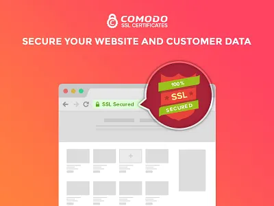 Secure Website with SSL Certificates design heroimage ui web websitesecurity