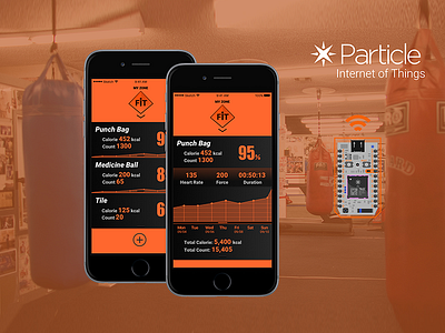MyZone-boxing gym ui