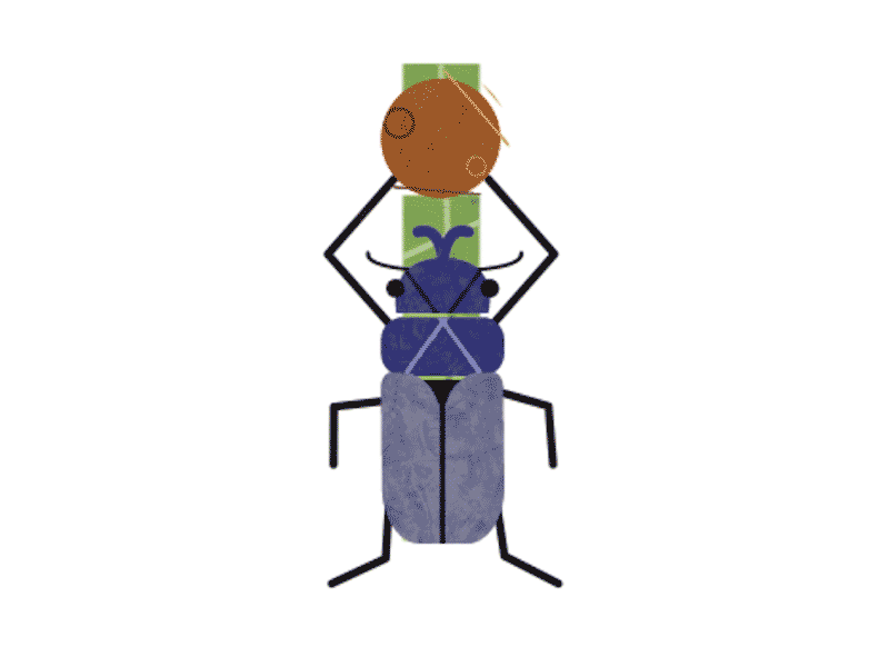 Dung beetle bug dung beetle i letter