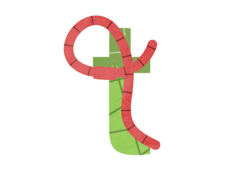 Worm bug letter t worm