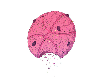 cookie dribbble cookie dribbble hello