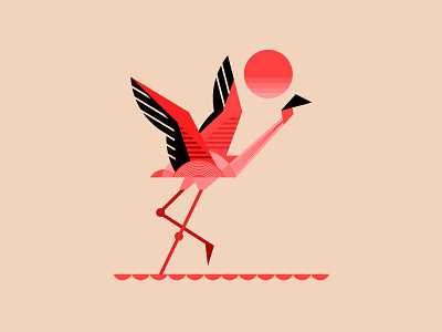 Flamingo art bangalore bird digital illustration flamingo illustration inida kerala kochi nature shylesh