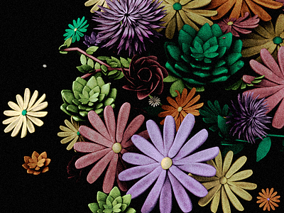 Flwrs 3d c4d daisies flowers modeling succulents