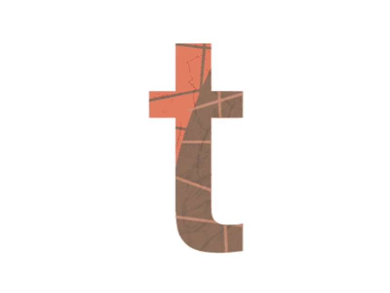 Dragonfly bug dragonfly letter t