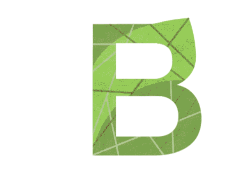 Moth b bug letter moth