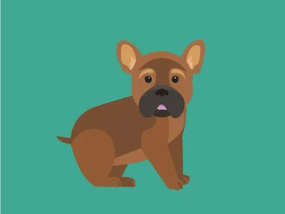 Pets no.1 - Clyde