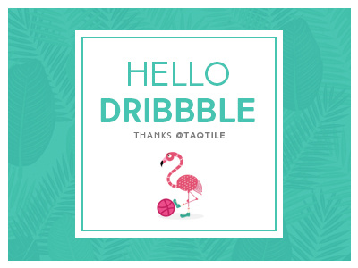 Hello Dribbble 2 colors flamingo hellodribbble