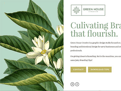 Splash Page branding floral splash page