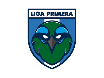 Liga Primera Nicaragua football guardabarranco league liga nica nicaragua soccer