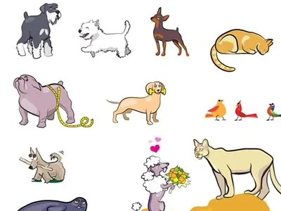 Animal Illustrations pets