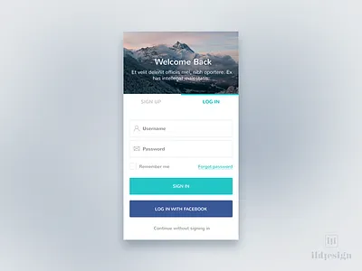 Log In Ui Design