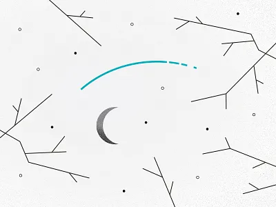 Winter Sky branches crescent looking up moon night shooting star sky stars winter