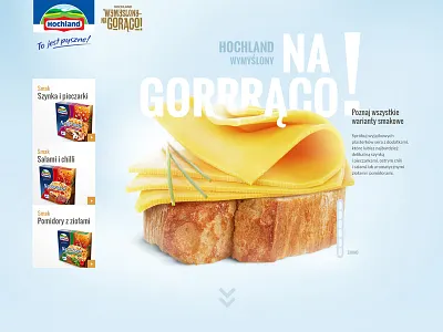 Hochland website concept