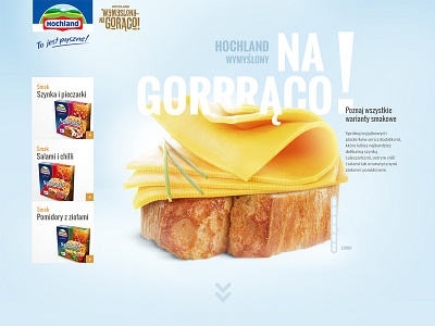 Hochland website concept