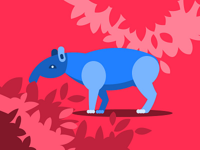 Tapir tapir