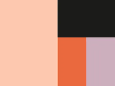 Palette branding color color palette identity palette