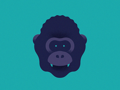 APE ape gorilla monkey nature stuff