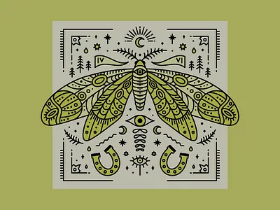 Nite Moth design digital art drawing illustration insect line work moth