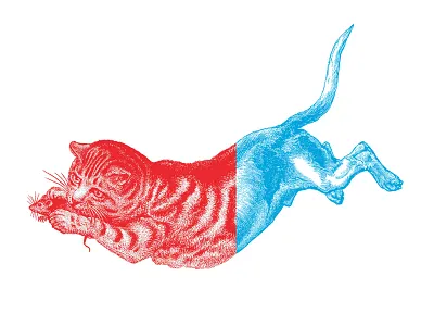 Cats + dogs cat cold dog illustration line work texture war