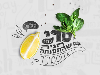 Aroma TLV Website aroma awesome tlv tlv website