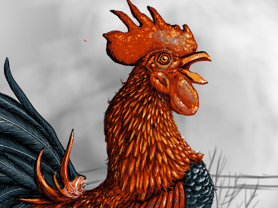 Rooster King chicken illustration rooster silkscreen wip