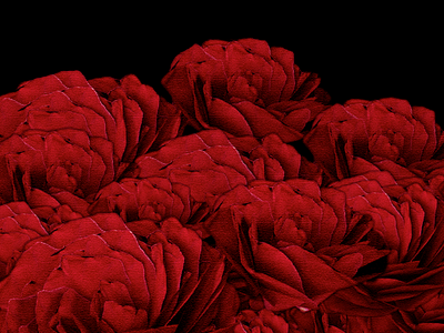 Flowers 3d abstract c4d flowers modeling render roses vray