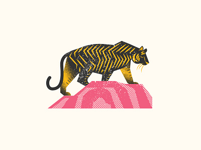 Tiger illustration tiger