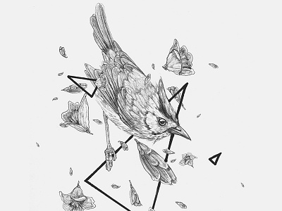 Inktober birdy bird flowers geometric inktober inktober2016