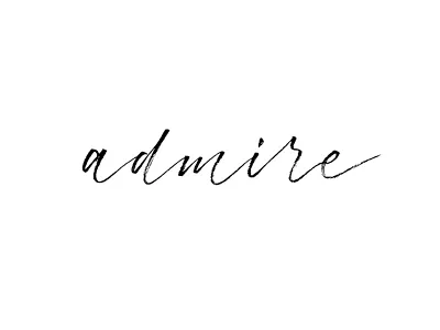 Admire | typeandgraphicslab.com brush custom type editorial hand drawn hand written inspirational lettering logo quote type typography