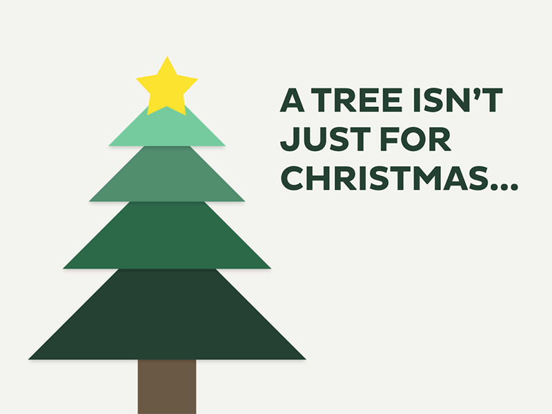 A Tree is for Life animation christmas gif habitat home life rainforest star tree