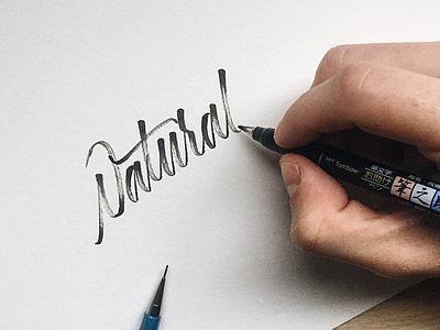 Natural Texturing brushtype calligraphy handlettering handmade handmadetype lettering logotype maker sketch texture tombow