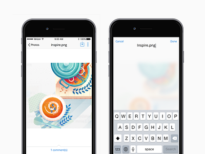 Dropbox Renaming Concept dropbox ios iphone keyboard label photo rename title titles ui