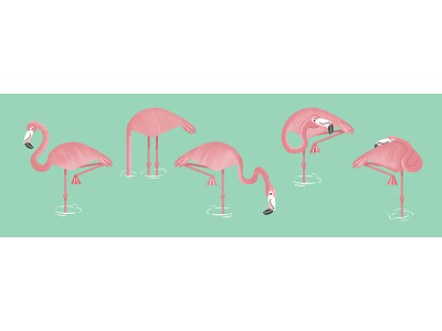 Flamingos character design childrens illustration digital art flamingo flamingos illustration kid lit print