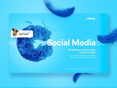 Chewy Studios blue chewy cute design feather landing layout social ui ux web website