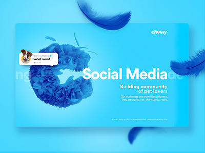 Chewy Studios blue chewy cute design feather landing layout social ui ux web website