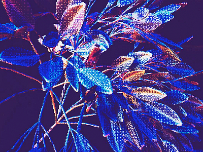 Fabric Explorations 3 3d c4d fabric flowers glitch leafs