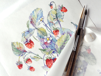 strawberry berries botany flora flowers herbarium packaging plants strawberries watercolor