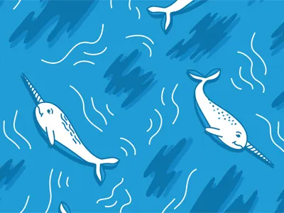 Narwhal pattern narwhal