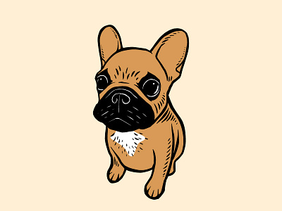 Fawn Frenchie Puppy animal cute design dog drawing fawn french bulldog frenchie illustration mask pet puppy