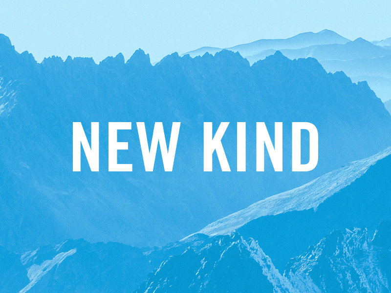 New Kind branding cyan design first post gif identity office studio workspace