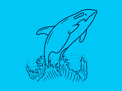 Orca Whale huckberry illustration killer whale orca whale