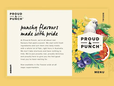 Proud Punch About Page design digital illustration navigation ui web
